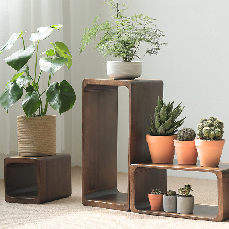 Harmoni Solid Wood Storage End Table