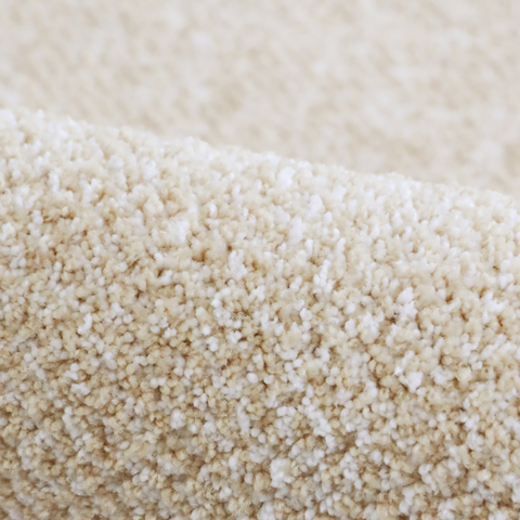 Shiflett Area Rug