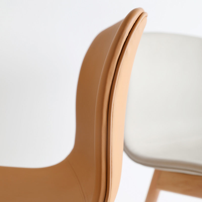 Raegan Leather Dining Chair (set of 2)