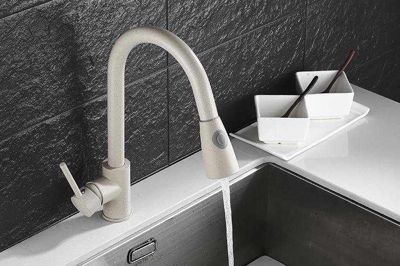 BLAISE Modern Matte Nude Extendable Tap Faucet