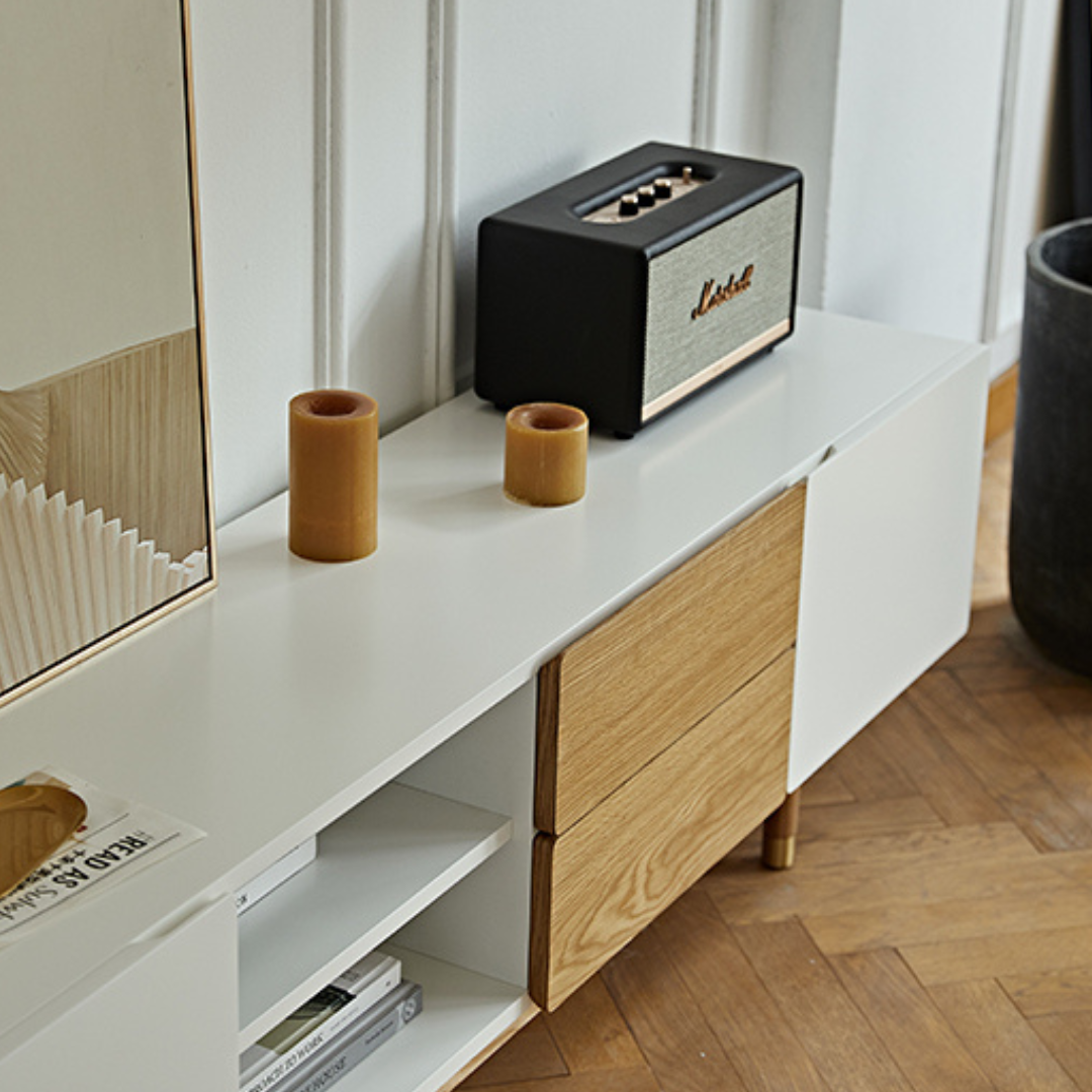 Sadie Modern TV Stand