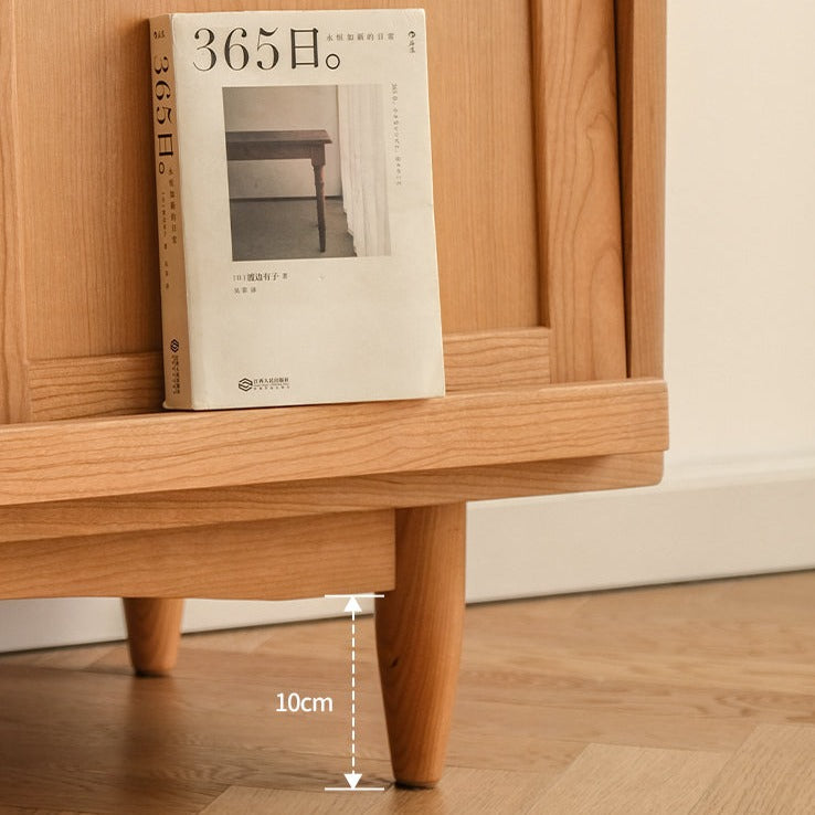 Shaelyn Wood Bookcase with Tilt Up Door