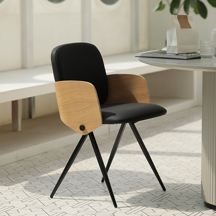 Aalbert Arm Chair(Set of 2)