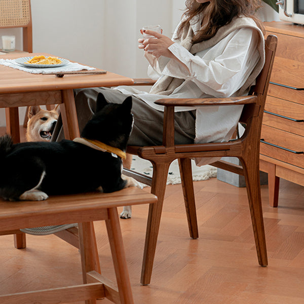 Bloxham Faux Leather Dining Chair