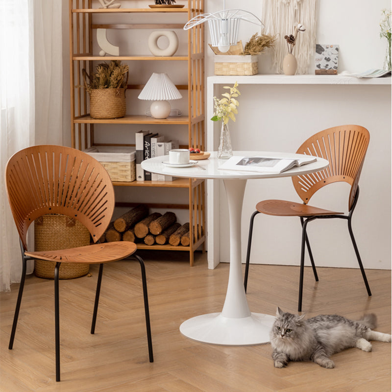 Alonso Elegant Dining Chair (set of 2)