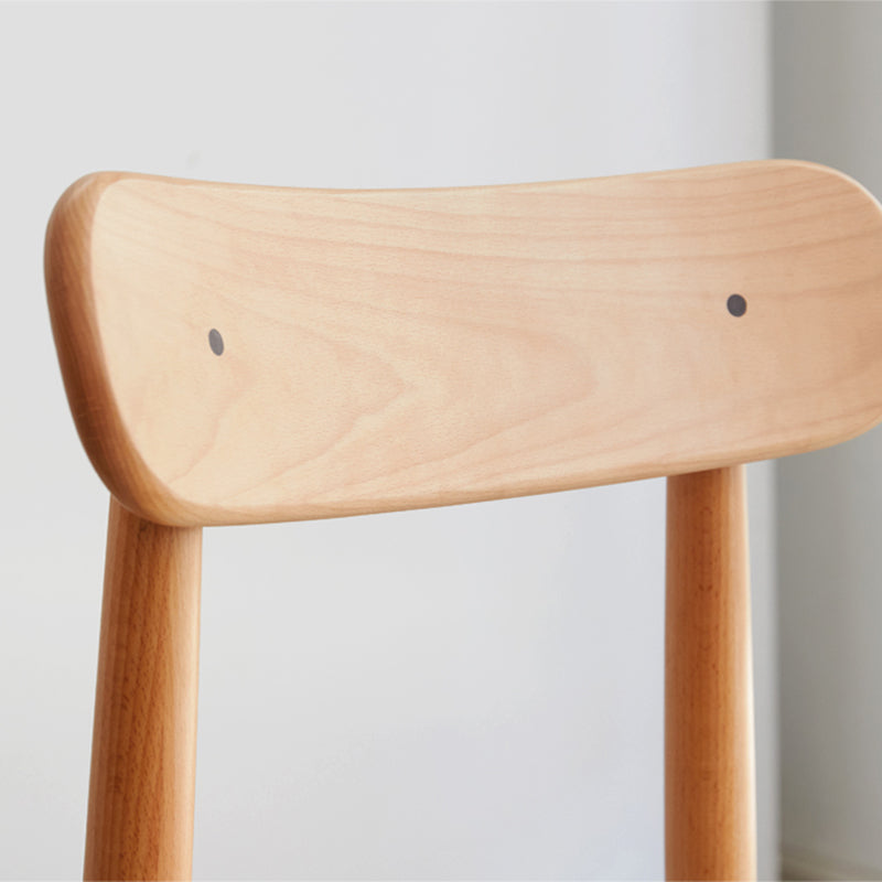 Gennevilliers Modern Dining Chair (set of 2)