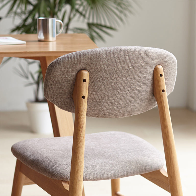 Jase Modern Dining Chair (set of 2)