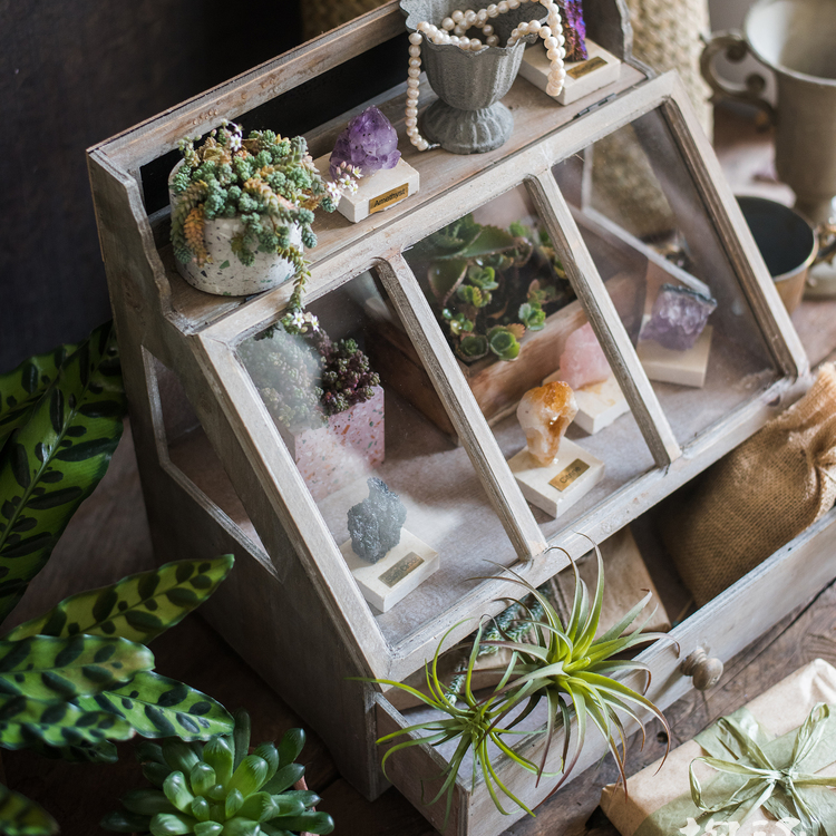 Ludie Vintage Display Box