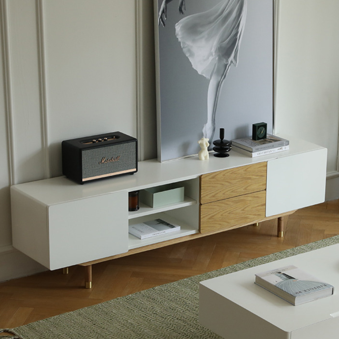 Sadie Modern TV Stand