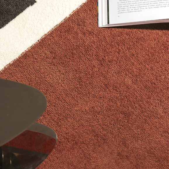 Shiflett Area Rug