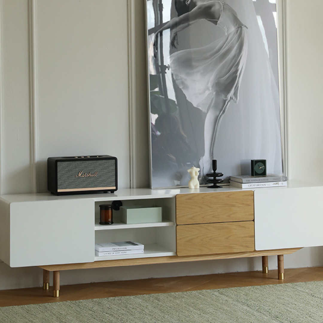 Sadie Modern TV Stand