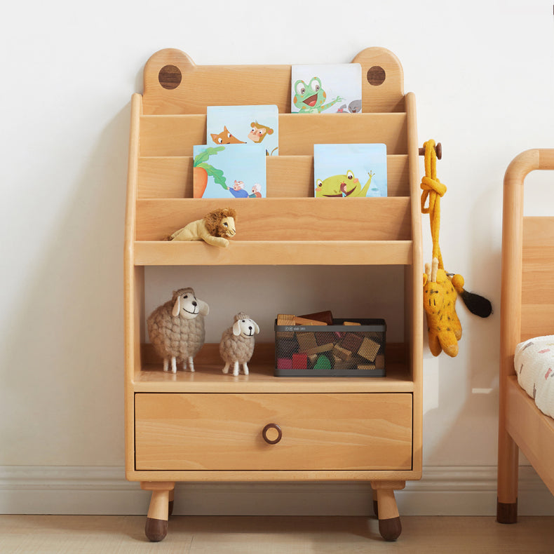 Frog Children's Bookshelf