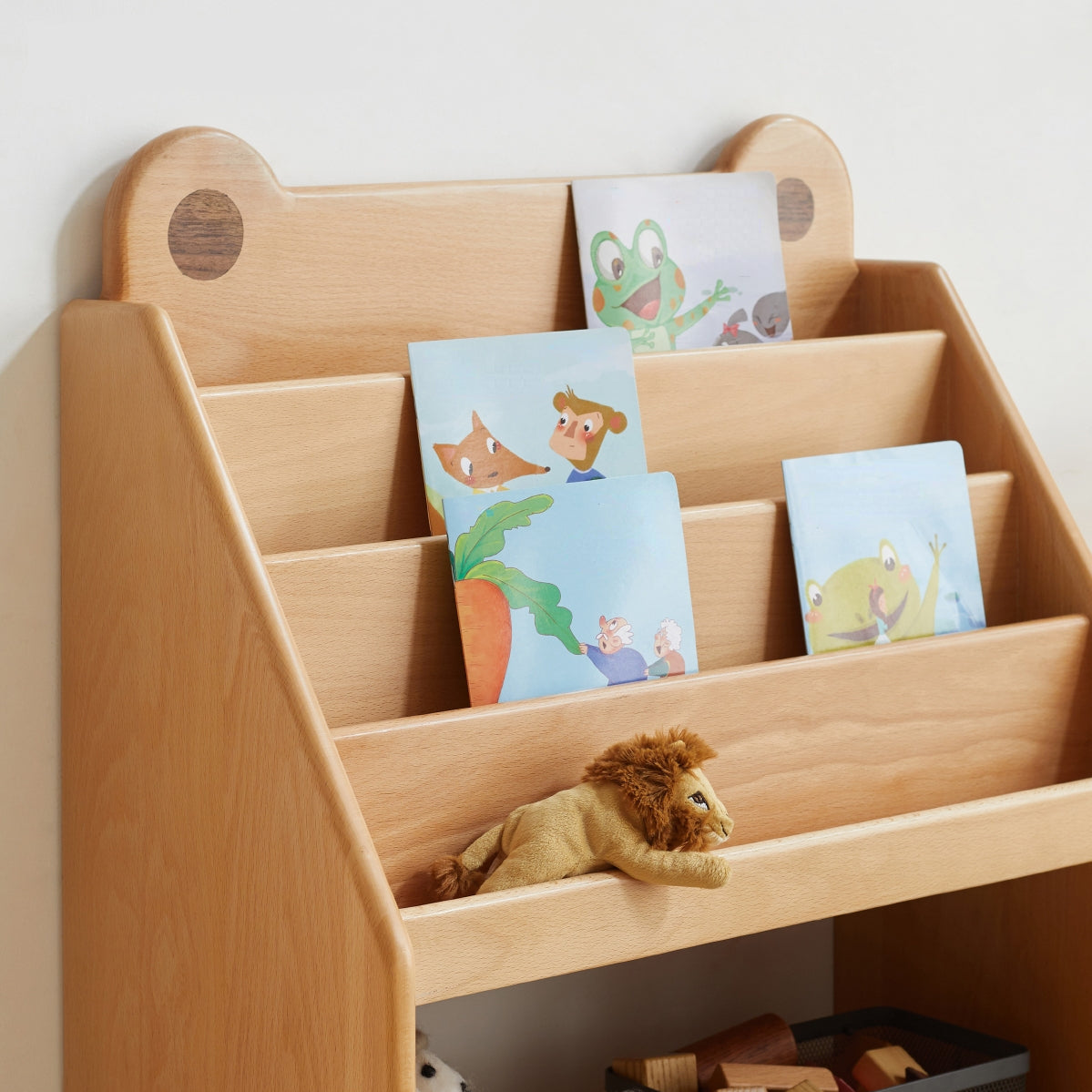Frog Children's Bookshelf