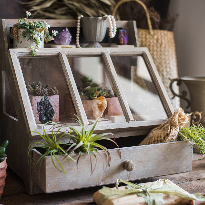 Ludie Vintage Display Box