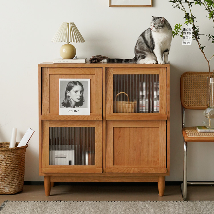 Shaelyn Wood Bookcase with Tilt Up Door