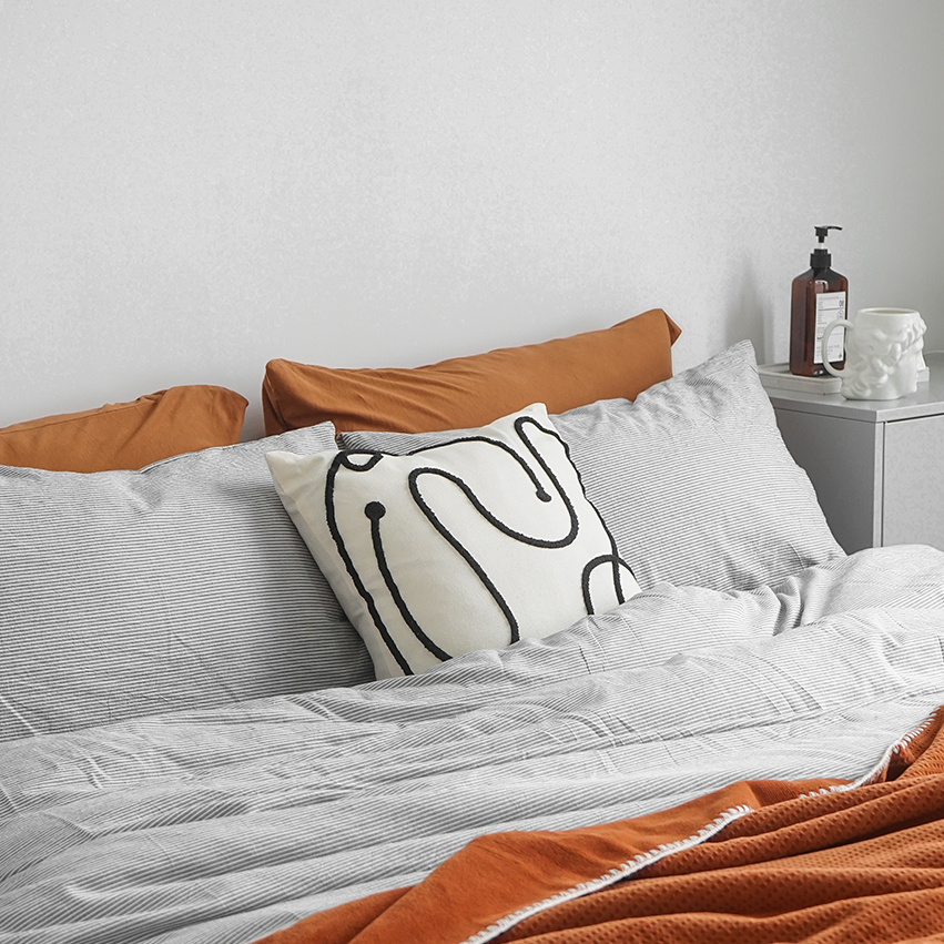 Daysun Pillow Cover & Insert