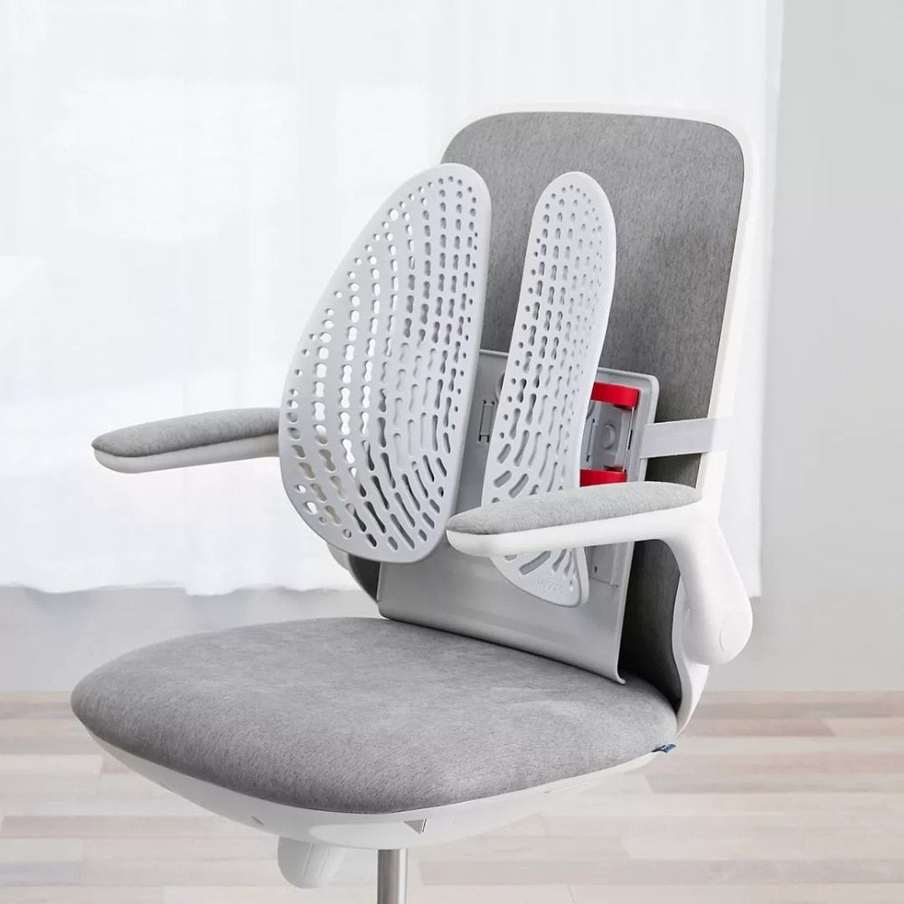 Leband Adjustable Lumbar Back Support
