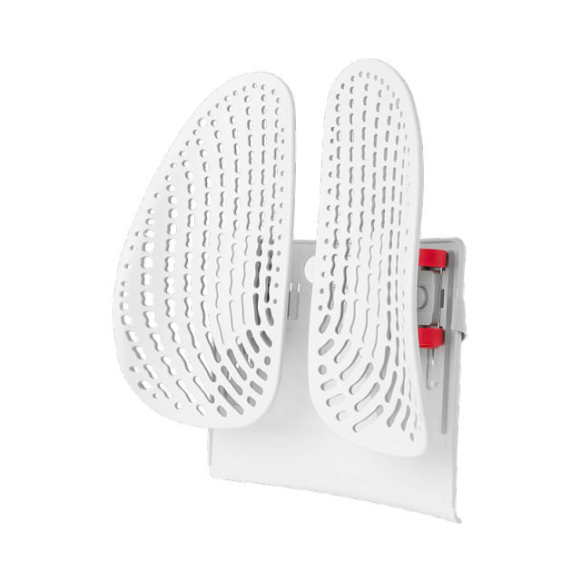 Leband Adjustable Lumbar Back Support