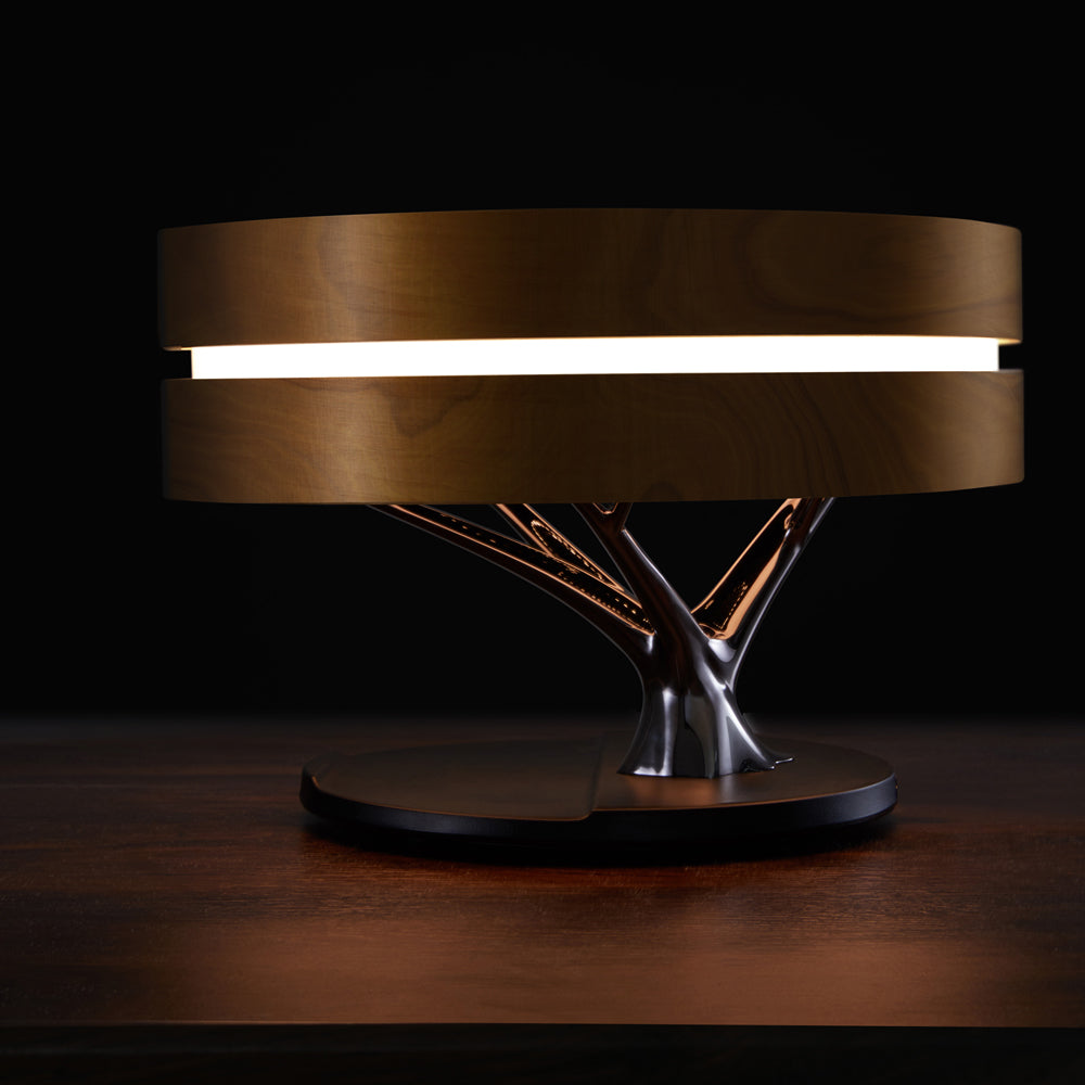 HomeTree Bluetooth Table Lamp in Round